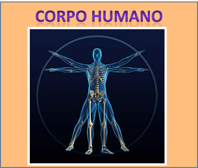 VÍDEOS - CORPO HUMANO