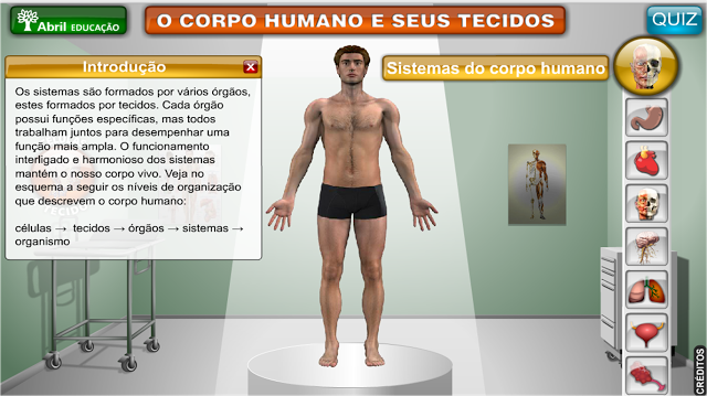  O CORPO HUMANO E SEUS TECIDOS