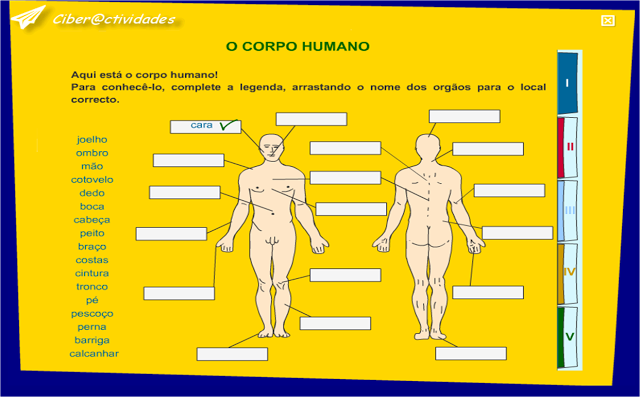 ATIVIDADE - CORPO HUMANO