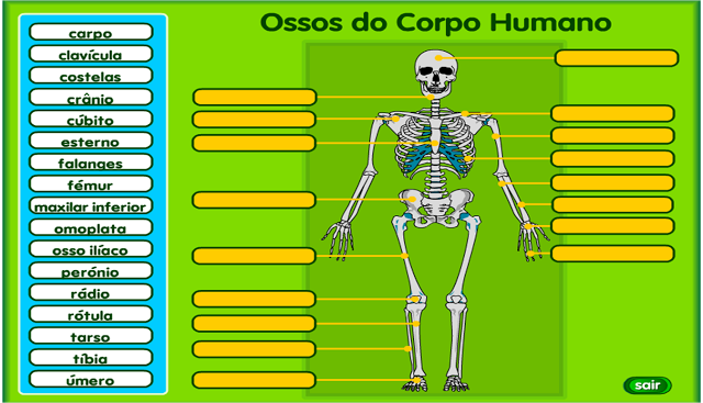  ATIVIDADE - SISTEMA ESQUELÉTICO
