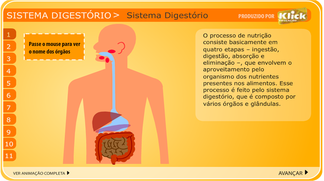  ANIMAÇÃO - SISTEMA DIGESTÓRIO