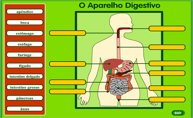 ATIVIDADE - APARELHO DIGESTIVO