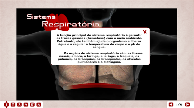  SISTEMA RESPIRATÓRIO 2