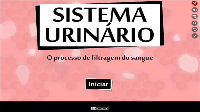  ANIMAÇÃO - SISTEMA URINÁRIO