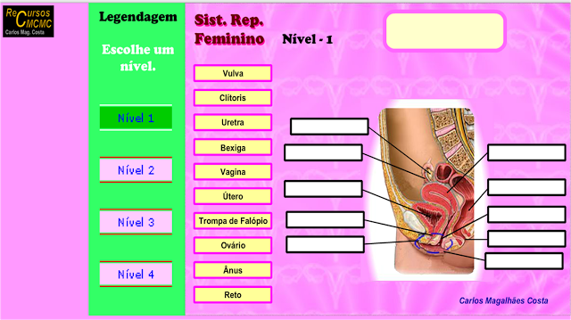  JOGO SISTEMA REPRODUTOR FEMININO