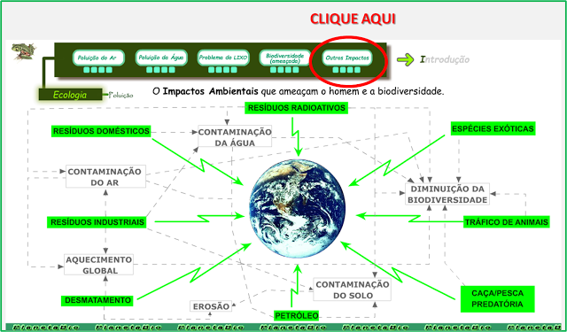  POLUIÇÃO SONORA