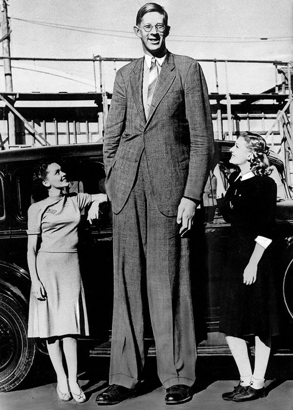 wadlow