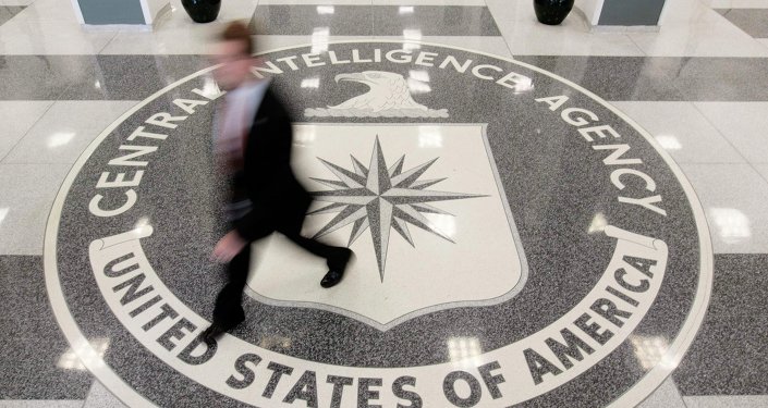 Russia has right to expel CIA successor NGO - former US analyst