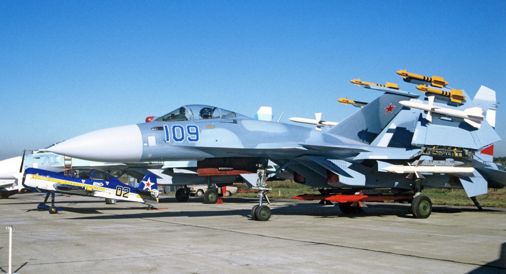 The Su-33 Flanker-D, a carrier-based warplane