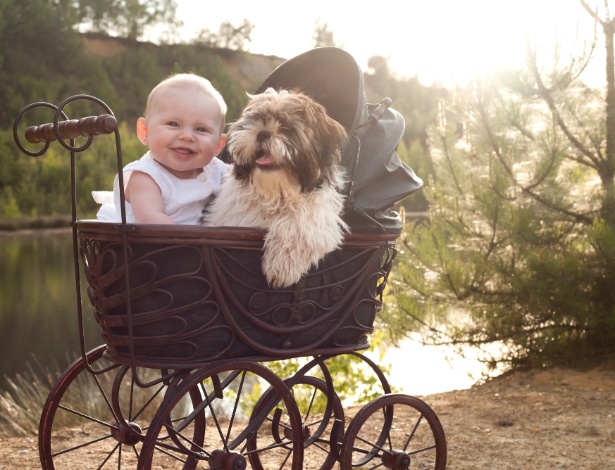 Pesquisadores apontam que o mesmo sentimento de amor que une pais e filhos também se estende a pessoas e seus cães, devido à ocitocina